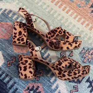 Cheetah Heeled sandals